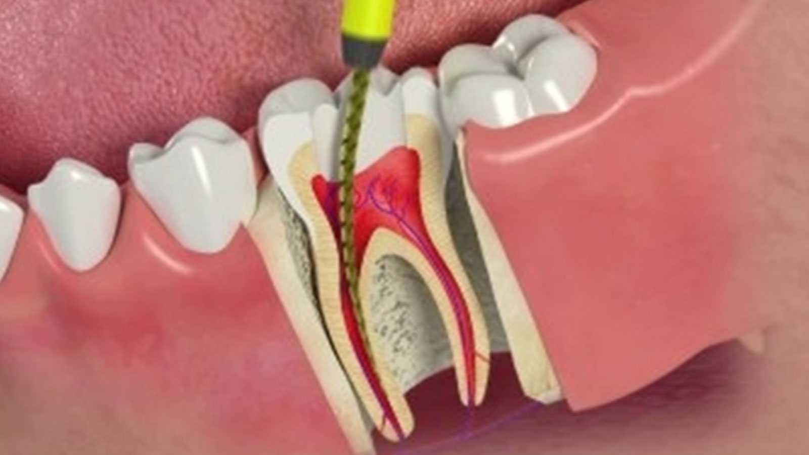 Tottenham Village Dentistry